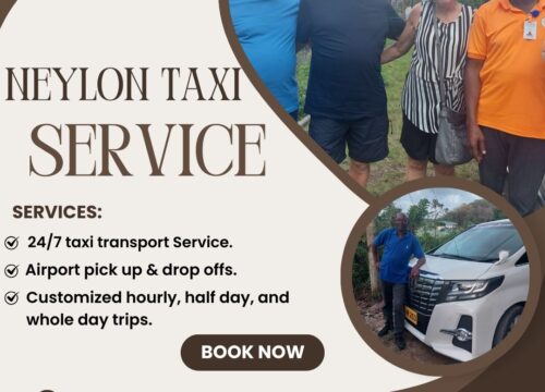 Discover Grenada with Neylon Taxi Grenada St. George